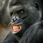 balls balls balls balls