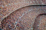 Stadium Crowed