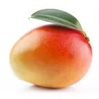 high pitched ringing