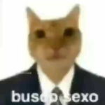 é o minino de papai é