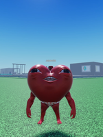 não chorax tremeliques