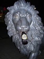 Lion King Hakuna Matata (German)