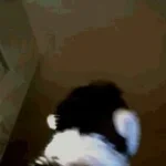 BACK UP MONKEY