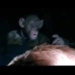 Oh No Planet Of The Apes