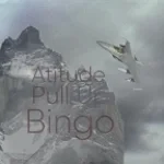 Atitude Pull up Bingo