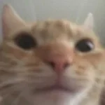 ching cheng hanji loud