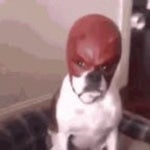 Daredevil ULT (copy)