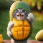 MANGO MANGO