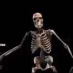 skeleton banging shield