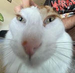 Wow! That's so cool! It's like it's in real life!