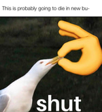 Shut your Bass Drop