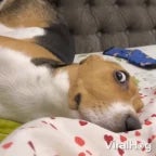 Sleep with one eye open