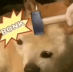 La bonk'e