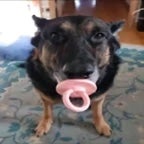 brainrot remix (copy)