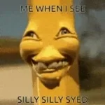 syed