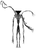 The Broken End Angry