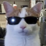 The Elemelons - Sound