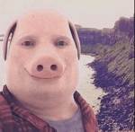 Bronze Age shitpost Sumer language