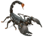 Keys Shaking Sound Effect