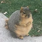 MONSTA X 몬스타엑스 'N the Front'