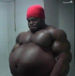 Nuni Jel dosao Mehmed