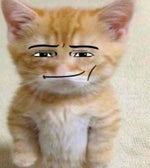 last rizzmas i give my gyatt