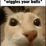 can i put my balls in your jaws