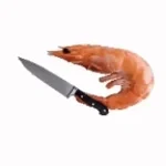 Adam with his shrimp