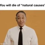 I will kill your wife Gustavo fring