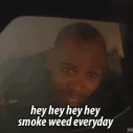 Smoke weed everyday - Sound