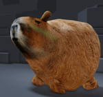 Screen Recording 2024 06 24 222227