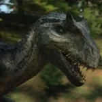 Allo Roar long