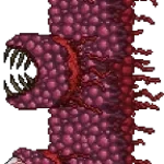 Terraria Wall Of Flesh roar