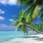 3 Minutes of Playtime