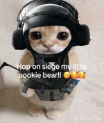 v09044g40000cj30afjc77u0lv8s2n1g