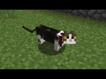 Cat - Meow 4