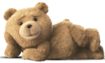 Ted - All I'm saying is that is the Boston Woman are