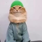 tobi tob tob tob tob