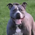 Bogusław Linda best moments