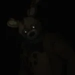 jaxson will tis the 3rd