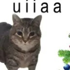 all i want for chrismas is you o ii a