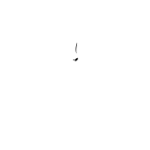 BUM TARARIRA