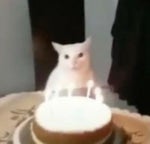 Open Na Noor Sound Effect Download