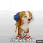 perro chacarron - Sound