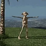 Dobby would like to play Stella Montis