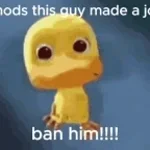 Mods ban that guy