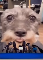 Jason Aldean You Make It Easy (Lyric Video)