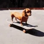 Skid