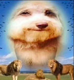 No me puedo rendir (parte 1)