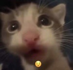 [FREE] “Speed” PACKGOD TYPE BEAT - Sound